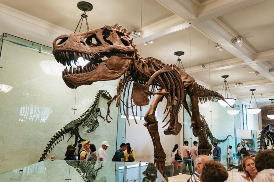 New York City: American Museum of Natural History Ticket - Exploring Over 40 Galleries and Exhibits
