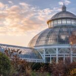 New York City : Central Park Walking Tour With A Guide - Meeting Point at Central Park Apartments