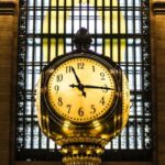 New York City Instagrammable 1-Day City Tour - Discovering Central Park and Roosevelt Island Views