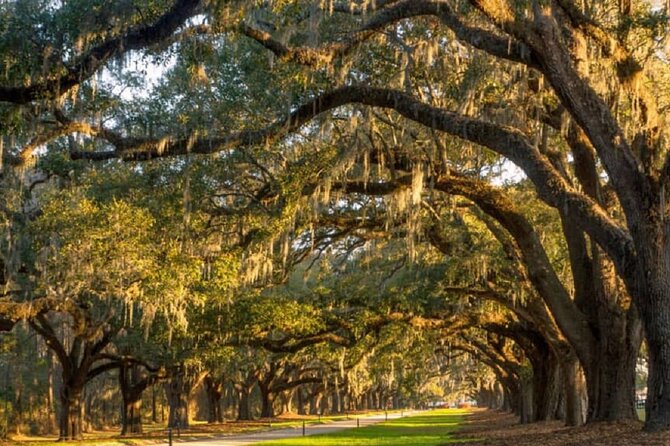 New York to Charleston 5-Day Tour - Encountering Wildlife at the Conservators Center