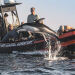 Newport Beach: Ultimate Whale Watching Adventure - Departure from Newport Landing Cruises Office