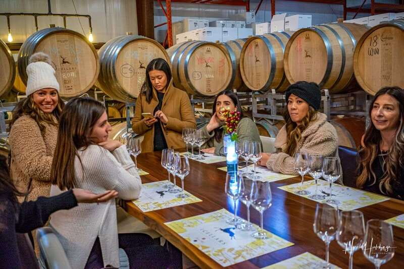 Niagara Falls, Canada: Escarpment Boutique Wine Tour - Starting Point and Transportation Comfort