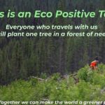 Niagara Falls, Toronto and 1000 Islands, 3 Day Tour from NYC - Exploring Watkins Glen State Park and the Finger Lakes