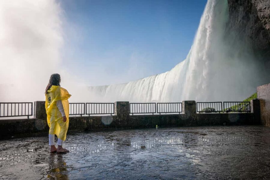 Niagara Falls Tour with Skip the Line Cruise & Maple Tasting - Departing from Toronto: Logistics and Meeting Details
