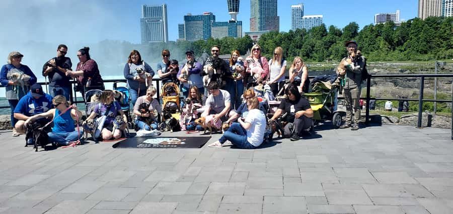 Niagara Falls Winter Wonderland Tour - Exploring Goat Island and Luna Island in Cold Seasons