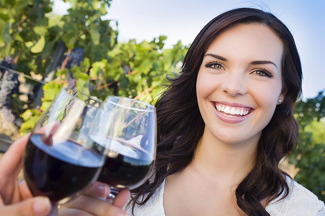 Niagara-on-the-Lake Small Group Wine Tour with Picnic Lunch - Visiting Niagaras Historic and Estate Wineries