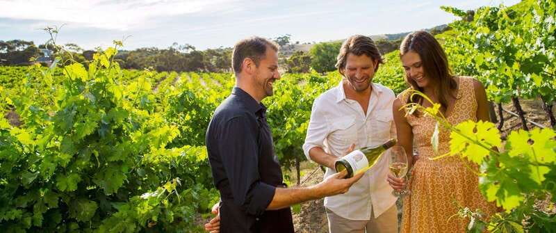 Niagara-on-the-Lake: Wine Tour with Tastings and Lunch - Starting Point and Transportation Arrangements