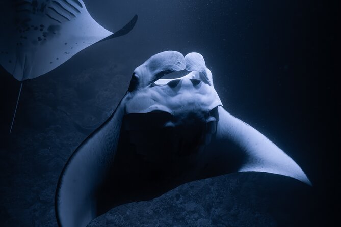 Night Manta Ray Snorkel with Videos - Meeting at the Kealakehe Harbor for a Sunset Sail