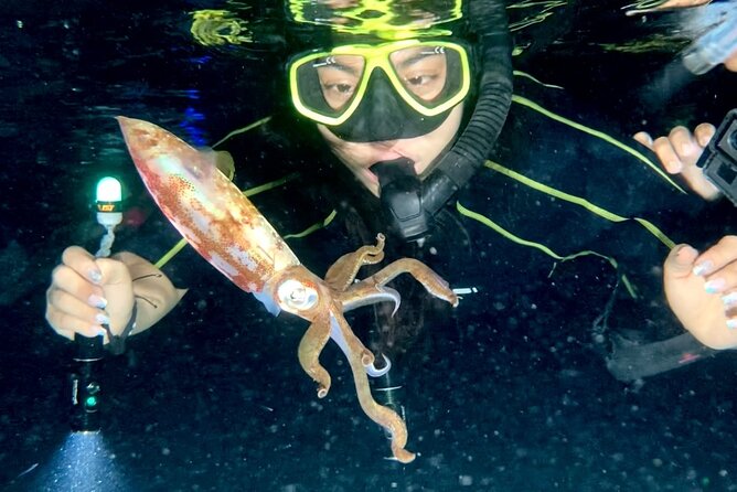Night Snorkeling - Observation of octopus and other species - The Unique Appeal of Night Snorkeling in Cozumel