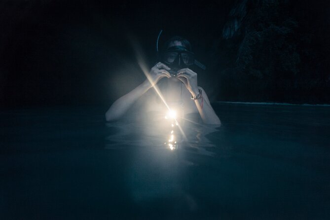 Night-Time Snorkel at TurtleTown with Stars, Lights, and Photos - How the Night Snorkel at TurtleTown is Conducted