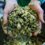 Night time tour of Harstad Craft Brewery - Visiting Harstad Craft Brewery in the Evening