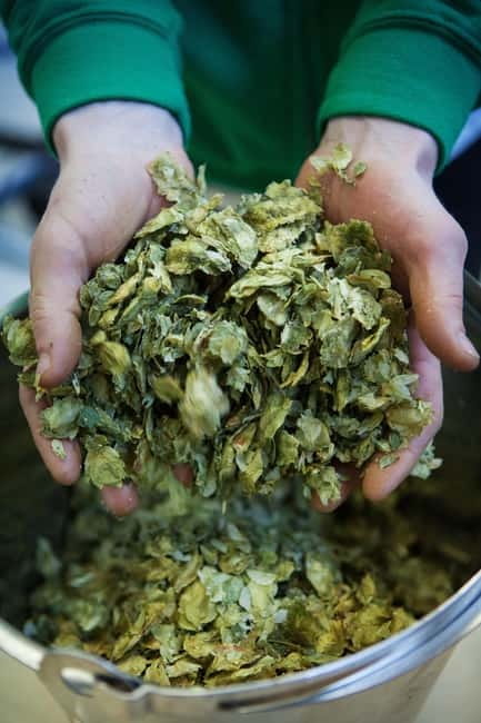 Night time tour of Harstad Craft Brewery - Visiting Harstad Craft Brewery in the Evening