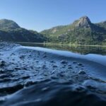 Noah's Ark Skadar Lake Journey - Bird Watching and Pelican Sightings