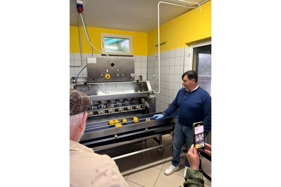 Nonno Mario Lemon Tour - Starting at the Heart of Campania’s Lemon Culture