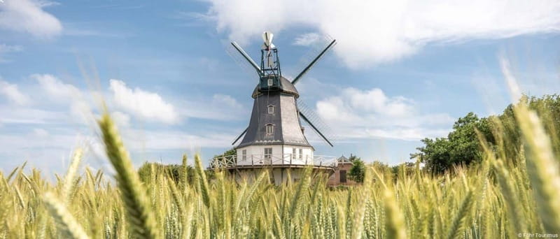 Nordstrand: Day trip by boat to Föhr - The Scenic Departure from Nordstrand Harbor