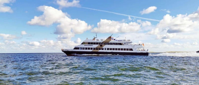 Nordstrand: Daytrip by boat to Amrum - Scenic Highlights of Amrum’s Dune Landscape and Kniepsand