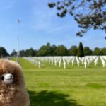 Normandy D-day landing beaches & Caen Memorial Private Tour - Visiting the Caen Memorial and Museum