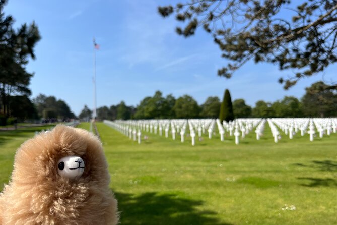 Normandy D-day landing beaches & Caen Memorial Private Tour - Visiting the Caen Memorial and Museum