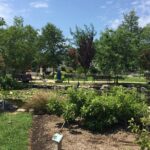 North Beach Historic - Guided Walking Tour - Starting Point at the North Beach Welcome Center