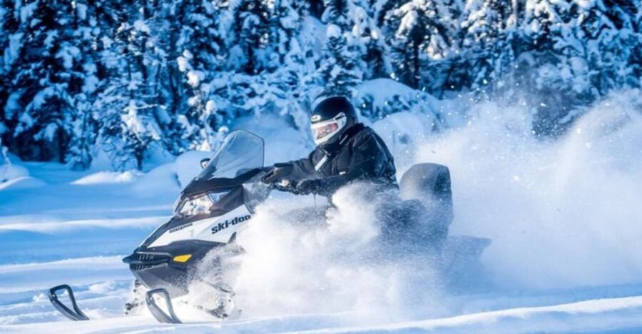 North Pole Alaska: Guided Fairbanks Snowmobile Tour - Convenient Meeting Point at North Pole, Alaska