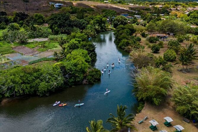 North Shore Farm: Anahulu River, Kayak-Sup, Turtles, Lunch & More - Paddle Through the Tranquil Anahulu River and See Majestic Sea Turtles