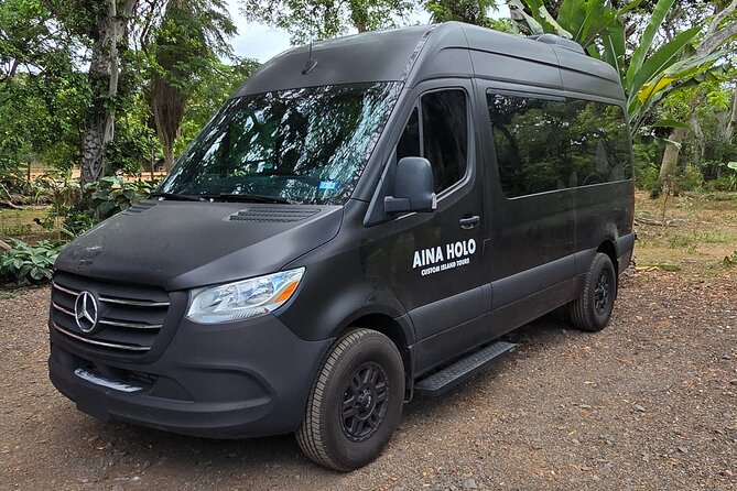 North Shore Turtle Bay Private Airport Transfer Up to 10 Guests - How the Private Mercedes Vehicle Ensures Comfort and Privacy