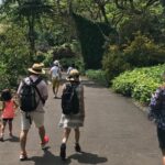 North Shore / Waimea, Falls Day & Swim with Turtles - Focus on Waimea Valley’s Waterfalls and Gardens
