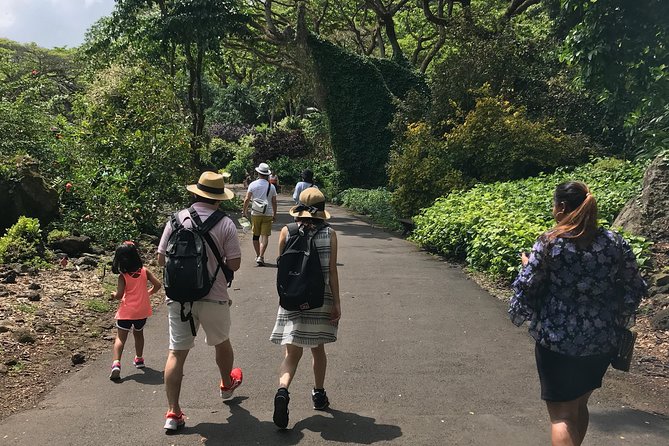 North Shore / Waimea, Falls Day & Swim with Turtles - Focus on Waimea Valley’s Waterfalls and Gardens