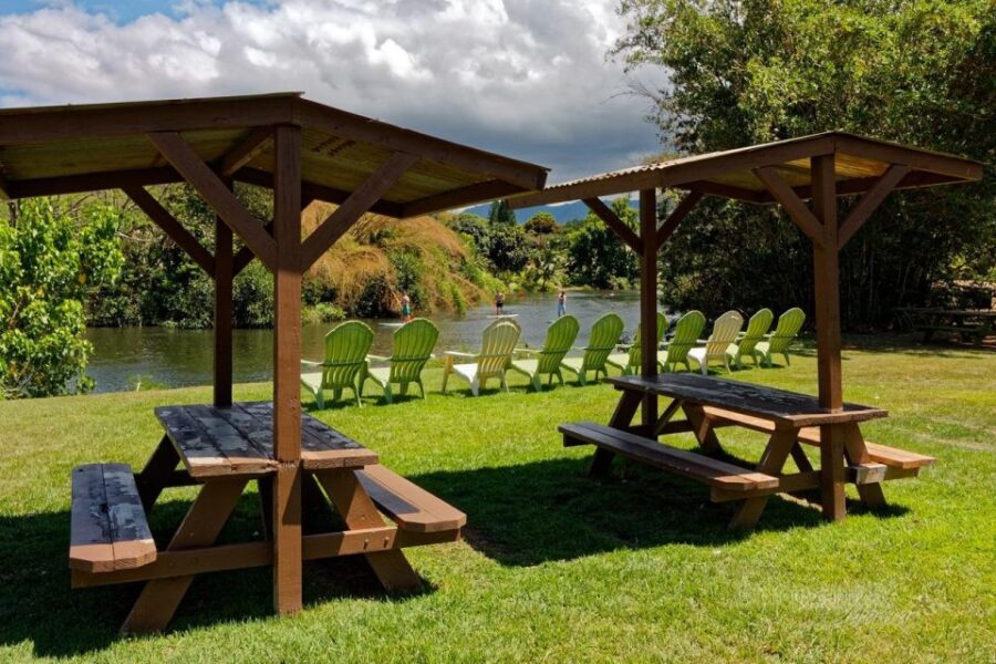 North Shore's best day! River, Turtles, Farm with Lunch - Starting Point at Tsue’s Farm Haleiwa