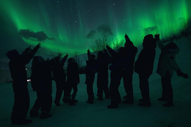 Northern Lights Big Bus Chase - How the Tour Finds the Best Weather and Aurora Conditions
