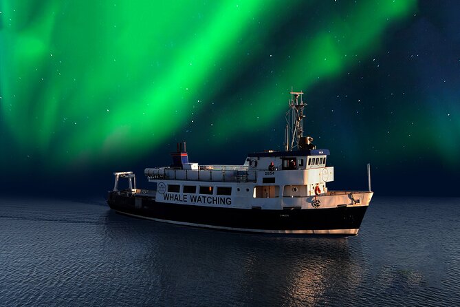 Northern Lights Boat Cruise from Reykjavik - Meeting at the Old Harbour: Starting Your Aurora Search