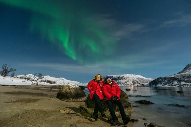 Northern Lights Chase by Minibus - The Arctic Route: Chasing the Aurora in Norway’s Wilderness