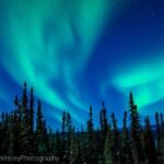 Northern Lights Experience and Cabin Dinner - The Dinner Experience in the Yurt