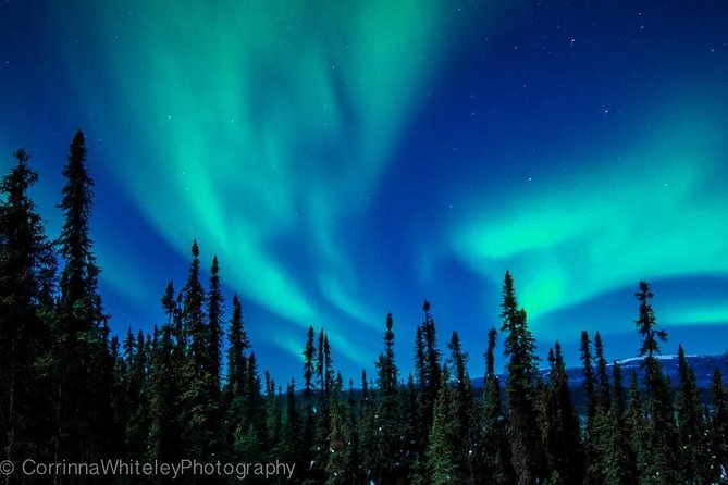 Northern Lights Experience and Cabin Dinner - The Dinner Experience in the Yurt