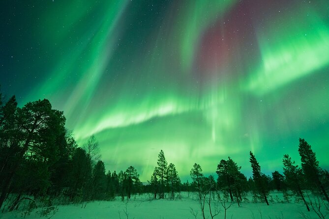 Northern Lights Hunt with The Green Adventure - photos included - The Itinerary and Stops