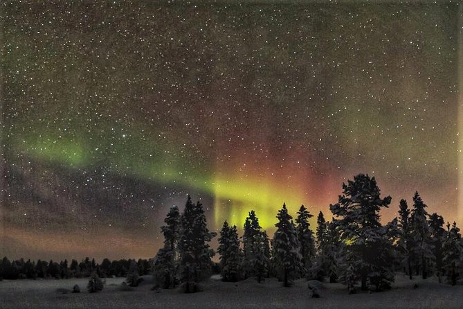 Northern Lights Hunting with Snowmobiles - Snowmobile Driving Through the Lappish Wilderness