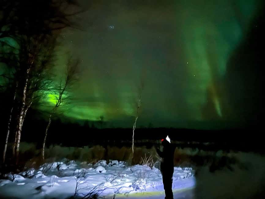Northern lights private tour Rovaniemi - How the Private Aurora Chase Works in Rovaniemi