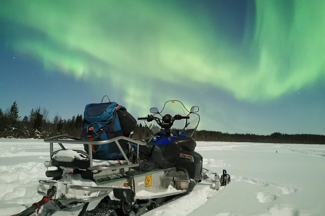 Northern Lights Sledge Ride - Expert Guides and Their Role in Aurora Hunting