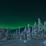 Northern Lights Snowmobile Safari from Rovaniemi with Campfire Picnic - Starting Point and Logistics in Rovaniemi
