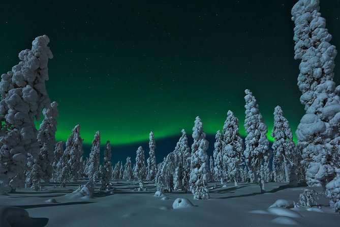 Northern Lights Snowmobile Safari from Rovaniemi with Campfire Picnic - Starting Point and Logistics in Rovaniemi