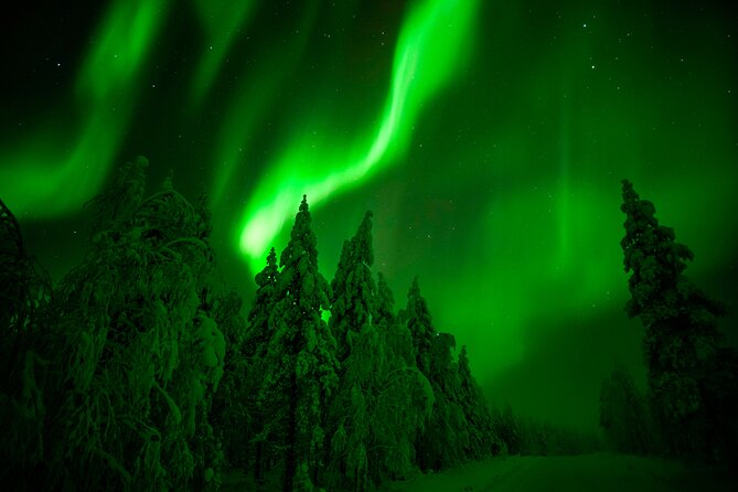 Northern Lights Snowmobile Tour - The Search for Northern Lights in the Wilderness