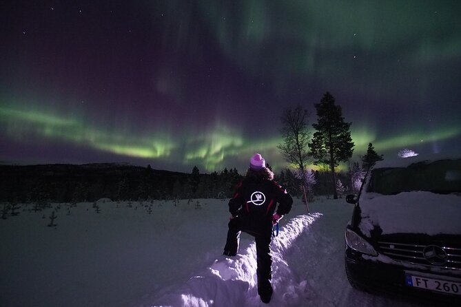 Northern Lights tour with Alta Adventure - The Itinerary: From Alta Center to the Arctic Darkness