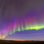 Northern Lights Viewing including Dinner and 1-Hour Dog Sledding - Enjoy a Scenic One-Hour Dog Sled Ride with Expert Mushers