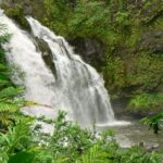 Northshore Maui: Guided Rainforest and Waterfall Walk - How the Tour Unfolds Along Maui’s Famous Road to Hana
