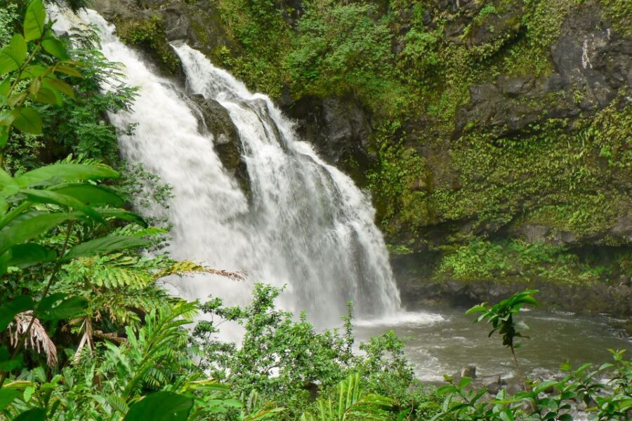 Northshore Maui: Guided Rainforest and Waterfall Walk - How the Tour Unfolds Along Maui’s Famous Road to Hana