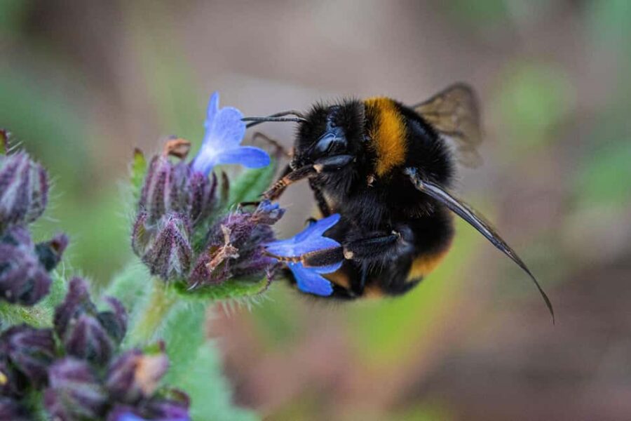 Northumberland: 6 Hour Meet the Makers Food Tour - Starting Point and Tour Duration