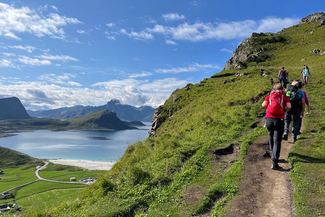 Norway Lofoten Private Shore Excursion from Leknes - Starting Point: Pickup in Leknes for a Personalized Tour