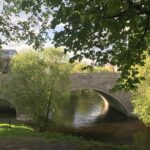 Norwegian nature and food experience - Starting at the Akerselva River: A Walk Through Oslo’s Industrial Past