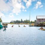 Nova Scotia: Guided Half-Day LaHave Islands Sea Kayak Tour - Starting Point and Tour Duration