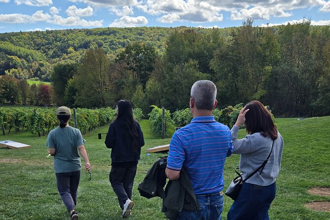 Nova Scotia Wine and Lobster Experience from Halifax - Visiting the Picturesque Fishing Village of Hall’s Harbour